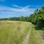 Ostsee Baumhaushotel - Auf Hoehe Der Baumkronen * Wangels