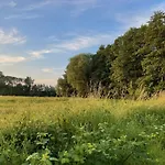 Ośrodek wypoczynkowy Ostsee Baumhaushotel - Auf Hoehe Der Baumkronen *