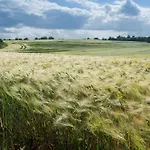 Ostsee Baumhaushotel - Auf Hoehe Der Baumkronen Ośrodek wypoczynkowy
