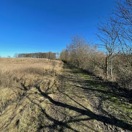 Ostsee Baumhaushotel In Der Mit Sauna Und Whirlpool Wangels