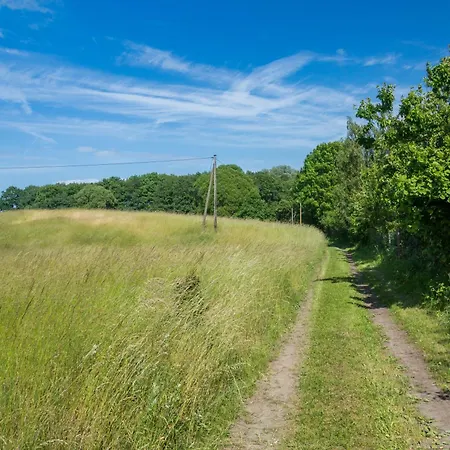 Ostsee Baumhaushotel In Der Mit Sauna Und Whirlpool * Wangels
