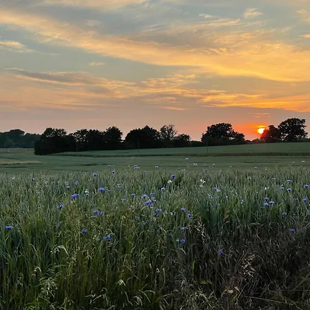 Ostsee Baumhaushotel In Der Mit Sauna Und Whirlpool リゾート *