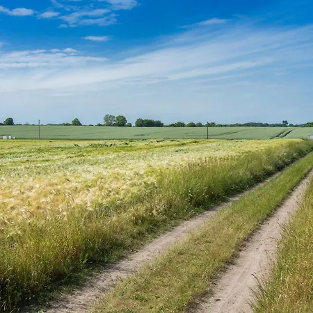 リゾート Ostsee Baumhaushotel In Der Mit Sauna Und Whirlpool