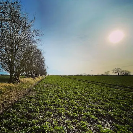 リゾート Ostsee Baumhaushotel In Der Mit Sauna Und Whirlpool *