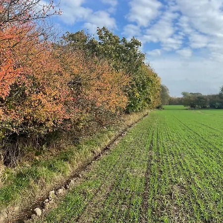 Ostsee Baumhaushotel In Der Mit Sauna Und Whirlpool Wangels