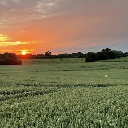 リゾート Ostsee Baumhaushotel In Der Mit Sauna Und Whirlpool *