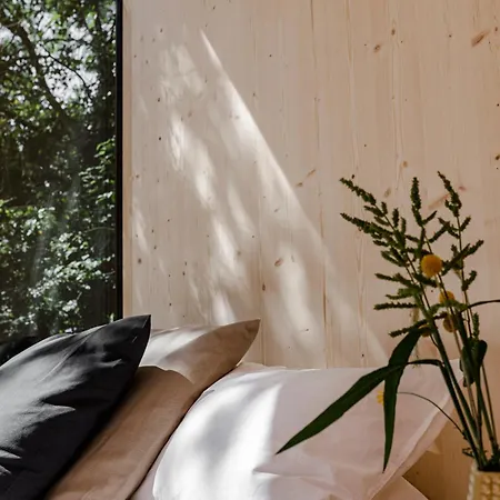 Ostsee Baumhaushotel In Der Mit Sauna Und Whirlpool * Wangels