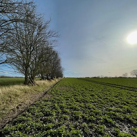 リゾート Ostsee Baumhaushotel In Der Mit Sauna Und Whirlpool Wangels
