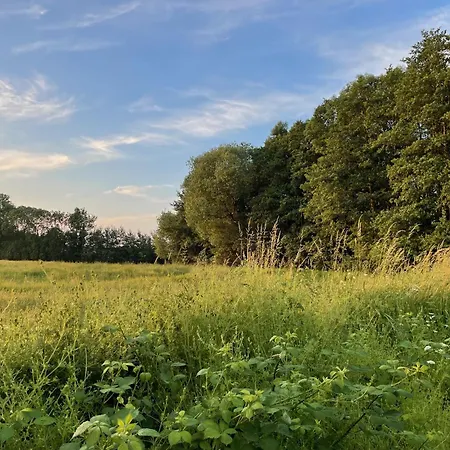 リゾート Ostsee Baumhaushotel In Der Mit Sauna Und Whirlpool *