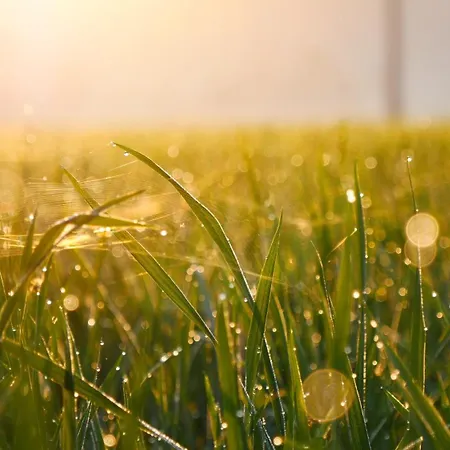 Ostsee Baumhaushotel In Der Mit Sauna Und Whirlpool