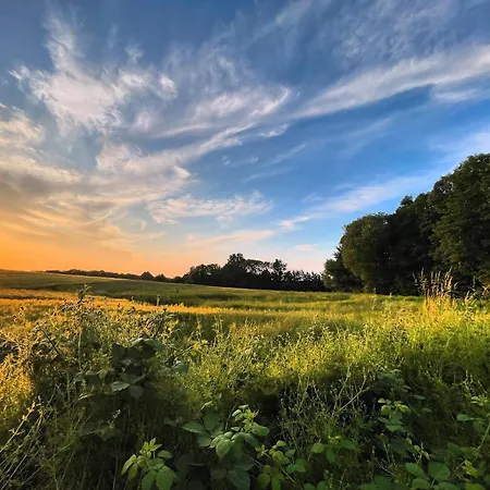Ostsee Baumhaushotel In Der Mit Sauna Und Whirlpool *