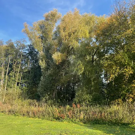 Ostsee Baumhaushotel In Der Mit Sauna Und Whirlpool * Wangels