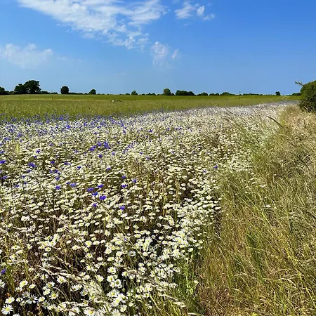 Ostsee Baumhaushotel In Der Mit Sauna Und Whirlpool