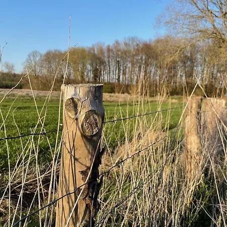 Ostsee Baumhaushotel In Der Mit Sauna Und Whirlpool リゾート