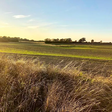 リゾート Ostsee Baumhaushotel In Der Mit Sauna Und Whirlpool Wangels