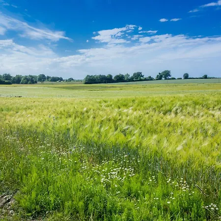 Ostsee Baumhaushotel In Der Mit Sauna Und Whirlpool Wangels