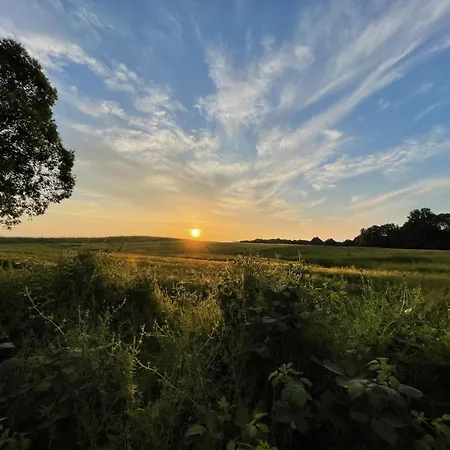 Ostsee Baumhaushotel In Der Mit Sauna Und Whirlpool