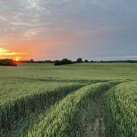 リゾート Ostsee Baumhaushotel In Der Mit Sauna Und Whirlpool