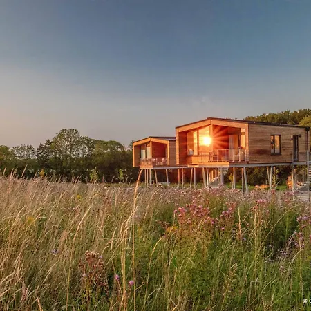 Ostsee Baumhaushotel - Auf Hoehe Der Baumkronen