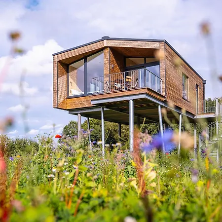 Ostsee Baumhaushotel - Auf Hoehe Der Baumkronen *
