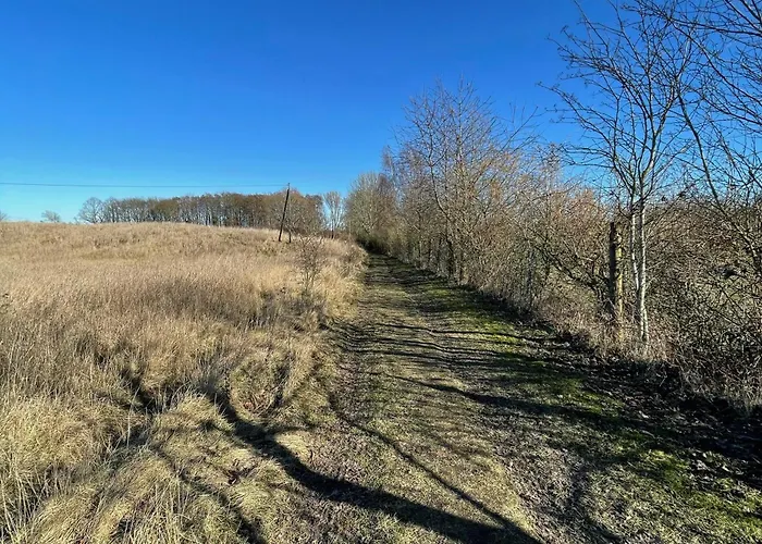 Ostsee Baumhaushotel An Der Ostsee Wangels