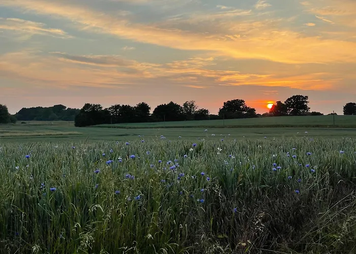 Ostsee Baumhaushotel An Der Ostsee Resort *
