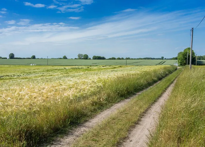 Resort Ostsee Baumhaushotel An Der Ostsee