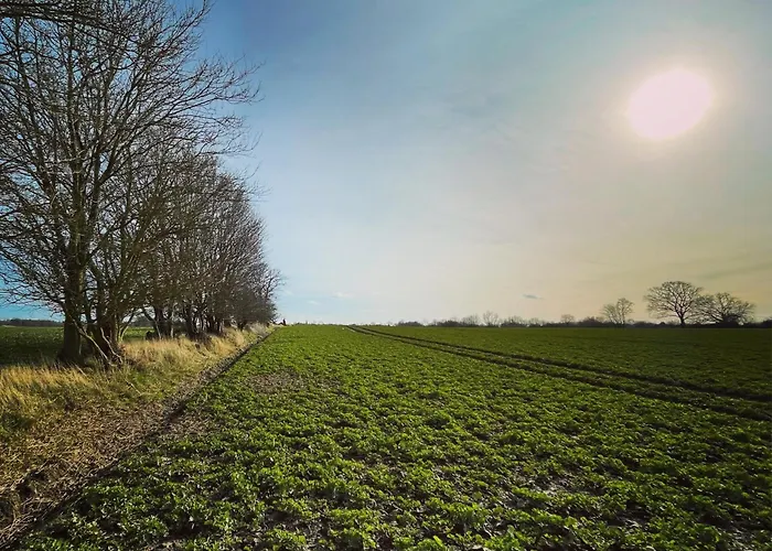 Resort Ostsee Baumhaushotel An Der Ostsee *