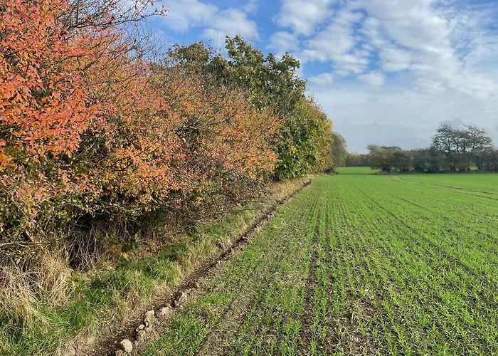 Ostsee Baumhaushotel An Der Ostsee Wangels