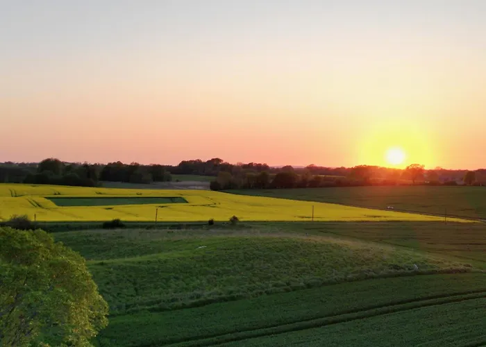 Ostsee Baumhaushotel An Der Ostsee Resort *