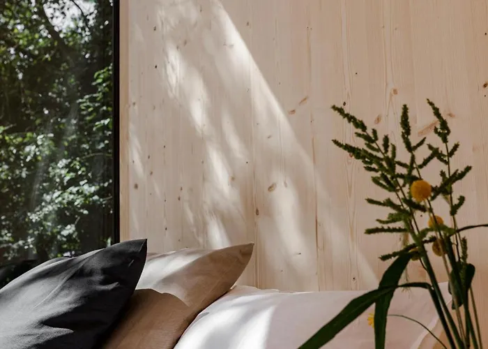 Ostsee Baumhaushotel An Der Ostsee * Wangels