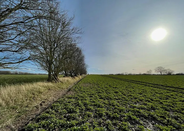 Resort Ostsee Baumhaushotel - Auf Hoehe Der Baumkronen Wangels