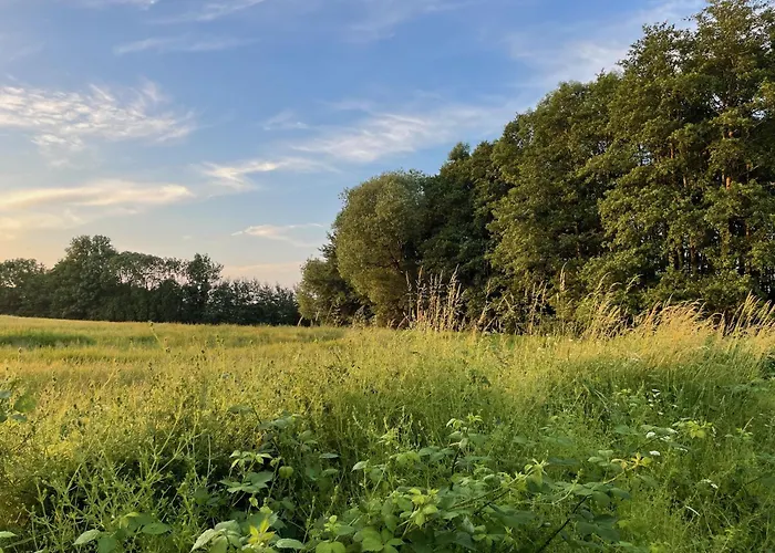 Resort Ostsee Baumhaushotel An Der Ostsee *