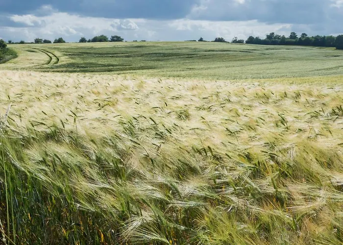 Ostsee Baumhaushotel An Der Ostsee Resort