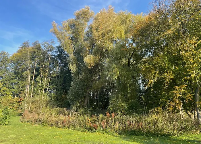 Ostsee Baumhaushotel An Der Ostsee * Wangels