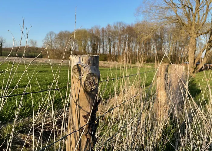 Ostsee Baumhaushotel - Auf Hoehe Der Baumkronen Resort