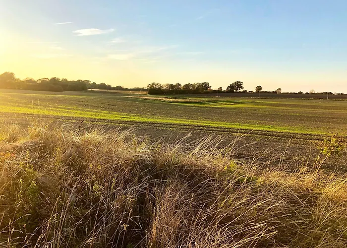Resort Ostsee Baumhaushotel An Der Ostsee Wangels