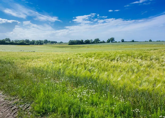 Ostsee Baumhaushotel An Der Ostsee Wangels