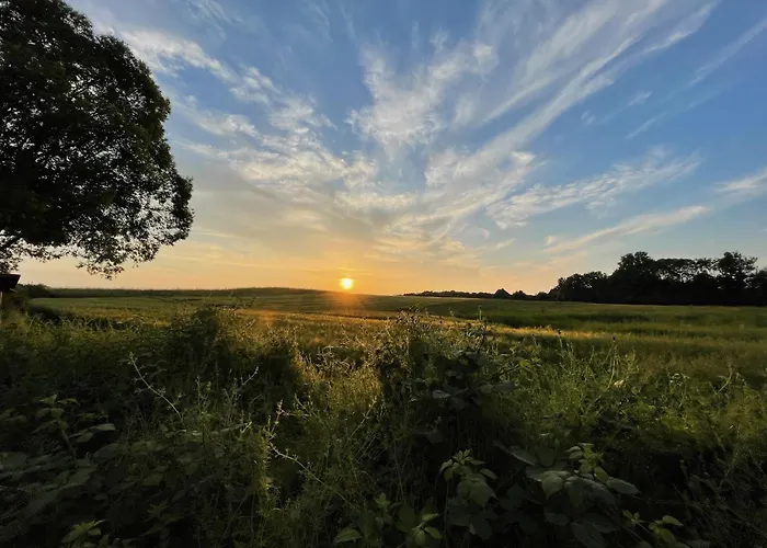 Ostsee Baumhaushotel An Der Ostsee