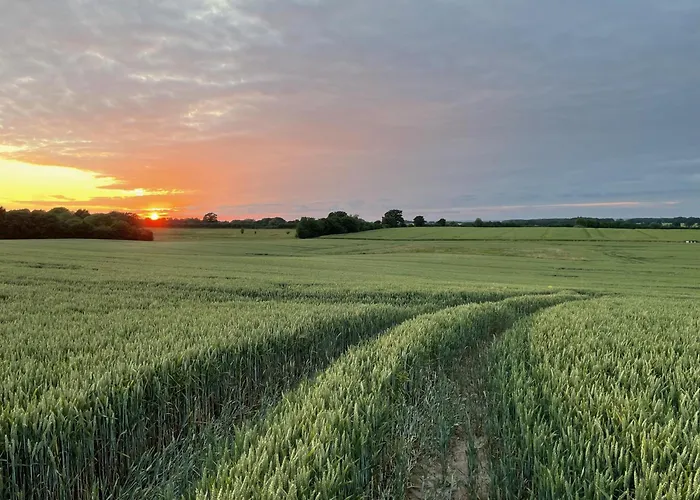 Resort Ostsee Baumhaushotel - Auf Hoehe Der Baumkronen