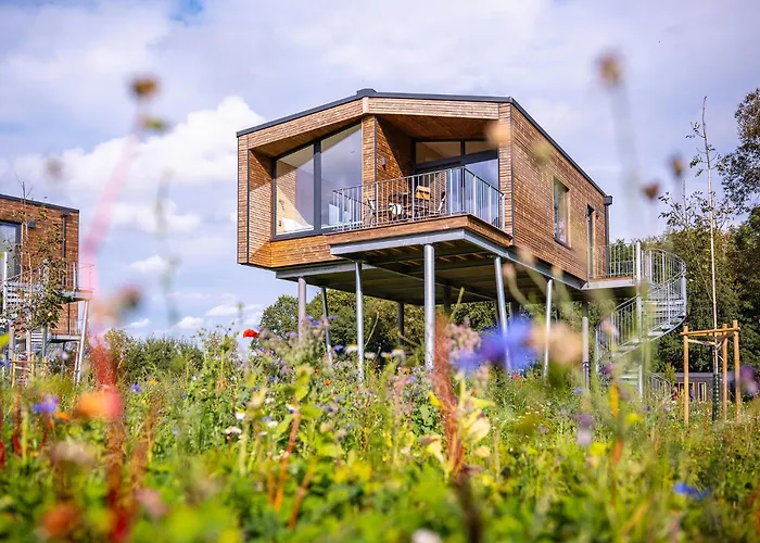Ostsee Baumhaushotel - Auf Hoehe Der Baumkronen *